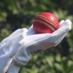 t20 leagues around the world